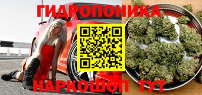 мдпв Рузаевка