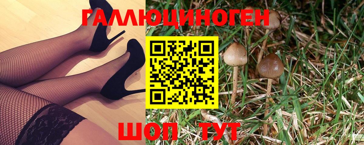 Псилоцибиновые грибы Cubensis Рыбинск